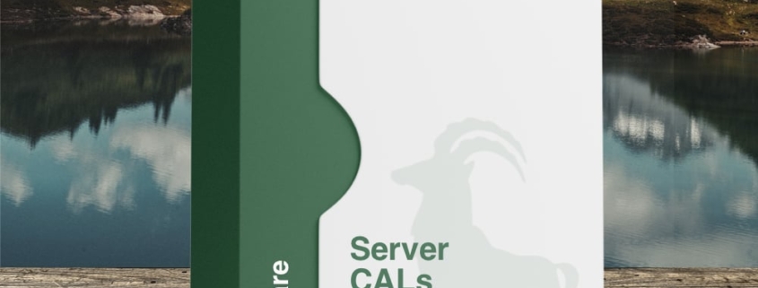 Server CALs Server CALs