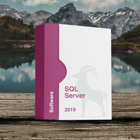 Microsoft SQL Server 2019