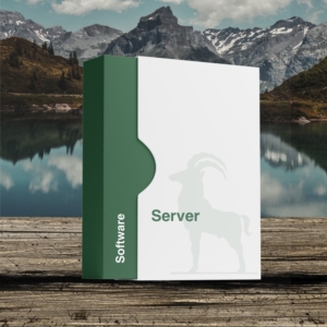 Server