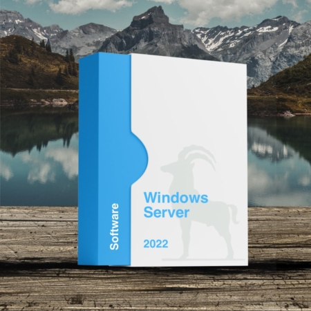 Microsoft Windows Server 2022