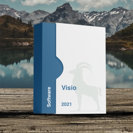 Microsoft Visio 2021