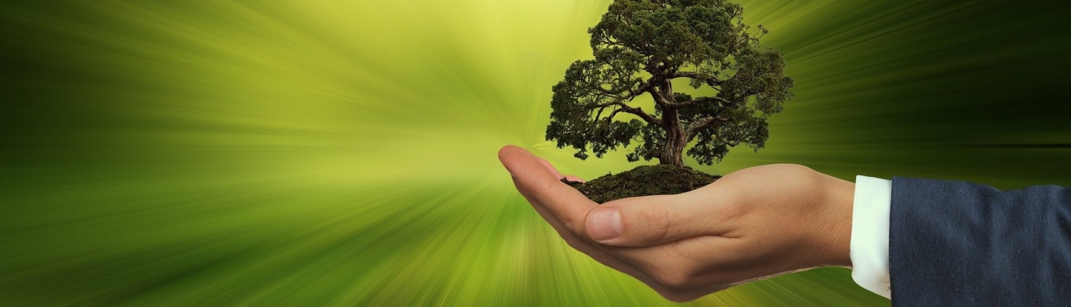 HIBIX - Ihr IT-Partner: Smart. Innovativ. Regional.